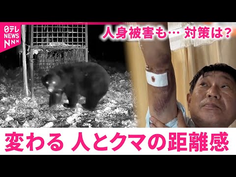 【クマ】人との"境界"に変化 相次ぐ被害への対策は　福島　NNNセレクション