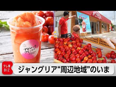 【最新】『ガイアの夜明け』独自取材!地元農家の直売所は1年でどう変わった?「ジャングリアの風」は今…