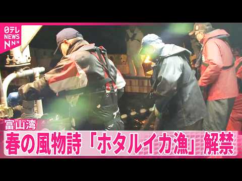 【「ホタルイカ漁」解禁】富山湾の春の風物詩　水揚げ量少なく1キロ5万500円 サムネイル