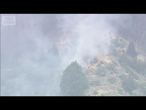 山林火災約10万平方メートル燃える　大阪府 災害警戒本部を設置(2026年3月31日)