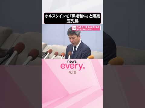 【牛肉に不適正表示】ホルスタインを｢黒毛和牛｣と販売  畜産会社｢猛省しております｣ 鹿児島・指宿市  shorts サムネイル
