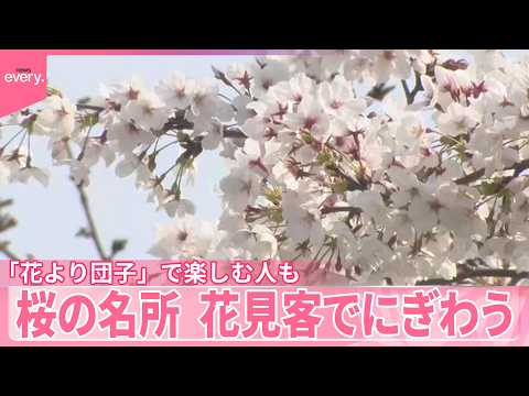 【桜】各地の名所、花見客でにぎわう　「花より団子」で楽しむ人も