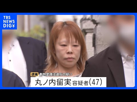 「暴れるような鳴き声」多頭飼育崩壊か… 動物愛護団体代表が犬猫39匹を虐待した疑いで逮捕　自宅には30匹以上の死骸が散… サムネイル