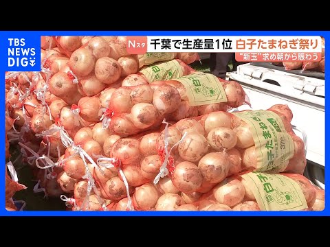 人気の新玉ねぎ10キロ2000円　千葉・白子町で“たまねぎ祭り” 「全然違いますね味が」辛み少なく濃厚な甘さが特徴｜T… サムネイル
