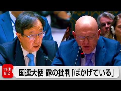 ロシアの日本”再軍備”批判「ばかげている」 国連大使がロシアに反論 サムネイル