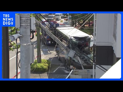 観光バスが電柱に突っ込む　現場の手前には街路樹などに接触した痕も　東京・江戸川区｜TBS NEWS DIG サムネイル