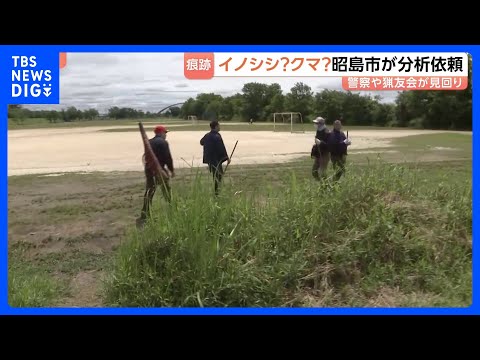 公園に“大きなフン” 幅20cm、高さ10cm未満　専門家「クマの可能性捨てきれず」 東京・昭島市は外部機関に分析依頼… サムネイル