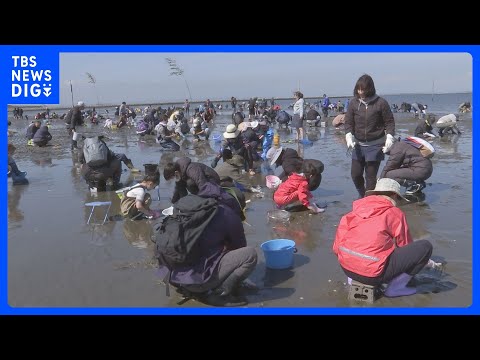 千葉・富津海岸で潮干狩りがオープン　東京湾で最も早い春のレジャー｜TBS NEWS DIG サムネイル