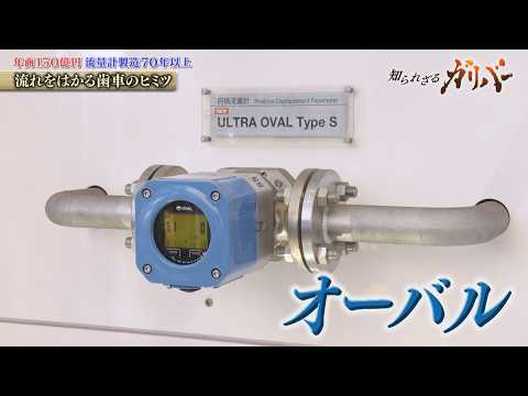 ドレッシングの変わらぬ味・ガソリン・水素まで！暮らし支える流量計のパイオニア　オーバル【知られざるガリバー】 サムネイル