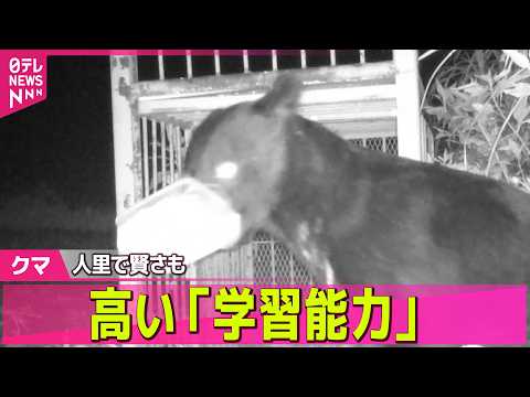 【クマ出没】近くに“足跡”小中学校は休校…長野・松本市　 窓のカギ開け逃走か…4人襲撃のクマはどこへ　福島市 ──社会… サムネイル