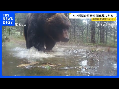 岩手・クマに襲われ男性（85）死亡か…相次ぐ被害 ヒグマをパンチで撃退？恐怖の攻防劇　“梅雨”に向け必要な注意も【ne… サムネイル