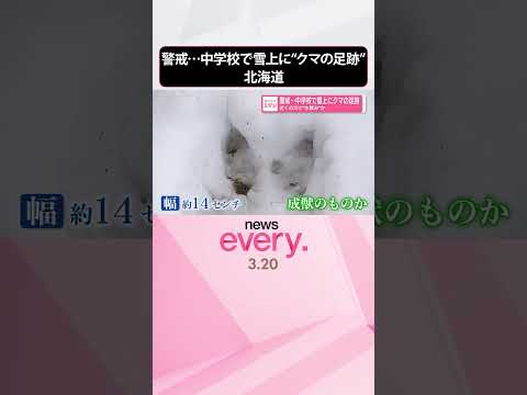 【警戒】中学校で雪上に“クマの足跡”  近くの川で“水飲み”か  北海道  shorts
