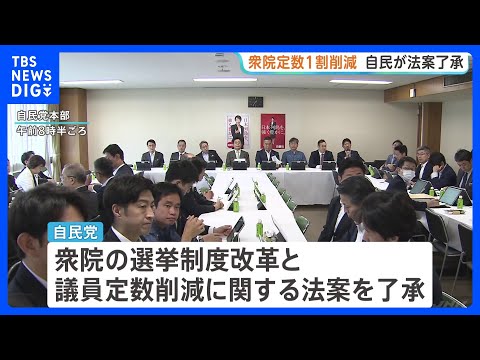 自民党「議員定数1割削減」法案を了承　法律施行から1年以内に結論が得られなければ実施　終盤国会の焦点に｜TBS NEW… サムネイル
