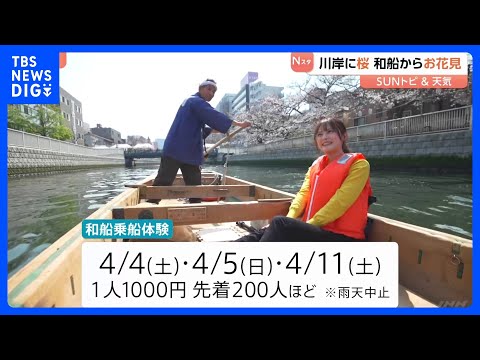 東京満開 にぎわう桜並木、川岸に桜 和船からお花見【SUNトピ】｜TBS NEWS DIG