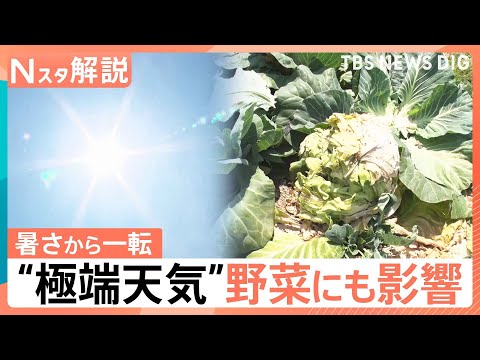異例の暑さから一転…“極端天気”21日（木）から気温急降下、24日（日）頃から1週間 “10年に1度”の著しい高温【N… サムネイル