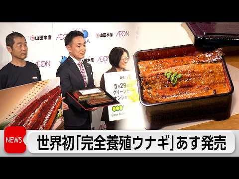 世界初「完全養殖ウナギ」イオンのネットショップであすから数量限定で試験販売開始　資源保護と安定供給に期待 サムネイル