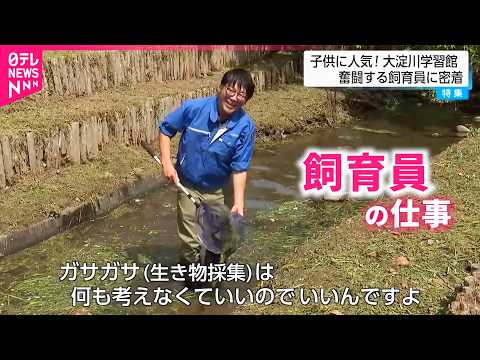 【密着】この道18年！生き物の魅力伝える飼育員日髙さん 仕事への情熱　宮崎　NNNセレクション サムネイル