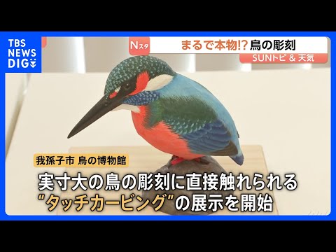 実物大の鳥の彫刻を直接触れる“タッチカービング” 「多くの鳥を触って目の見えない人に記憶してもらいたい」【SUNトピ】… サムネイル