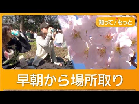サクラ開花　つぼみ多くても花見客でにぎわい　上野公園では早朝から場所取り【もっと知りたい！】【グッド！モーニング】(2…