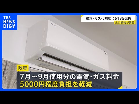 夏の電気・ガス補助金 予備費から5135億円支出を閣議決定　2022年以降累計で15兆円近い財政負担に｜TBS NEW… サムネイル