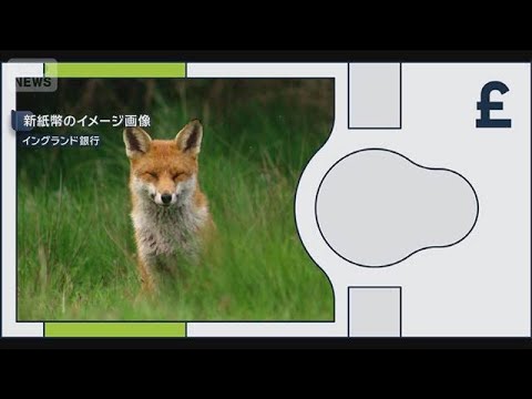 英紙幣デザイン　偉人から生物に変更へ　18候補から投票　保守系議員から批判も(2026年6月4日) サムネイル