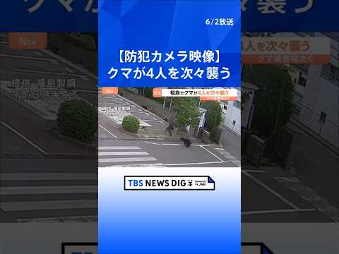 「クマに噛まれた」福島市の工場や住宅街に出没　4人けが　防犯カメラに従業員を襲い、走って追いかける様子　今も工場に居座…