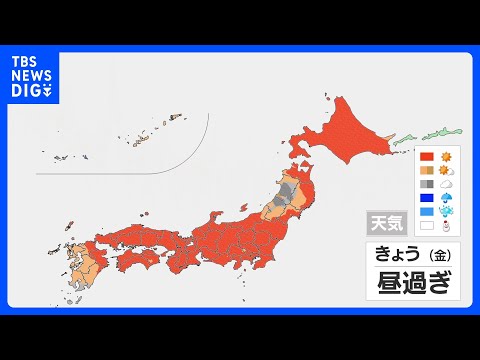 さくら映える青空に　北風おさまり春本番の陽気　朝と日中の気温差大きく　あすは再び雨風強まる｜TBS NEWS DIG サムネイル