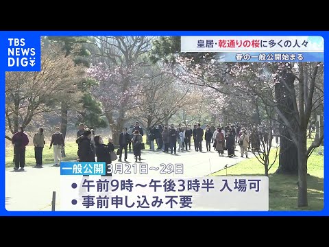 皇居･乾通り｢春の一般公開｣スタート 晴天のもと1.8万人が訪れる　ソメイヨシノやシダレザクラなど桜が約100本｜TB…