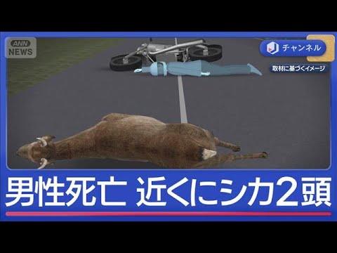 “倒れていた男性”死亡…近くに2頭のシカ“ひき逃げ”か【スーパーJチャンネル】(2026年4月29日) サムネイル