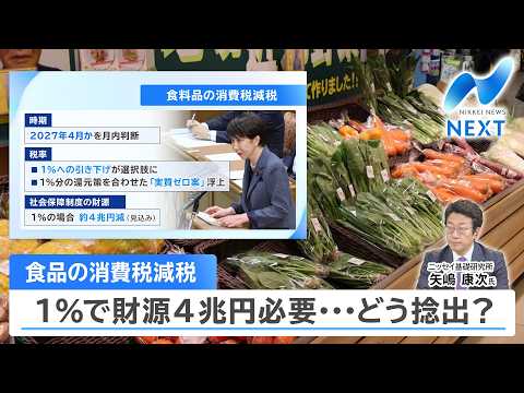 食品の消費税減税 1％で財源4兆円必要…どう捻出？【NIKKEI NEWS NEXT】 サムネイル