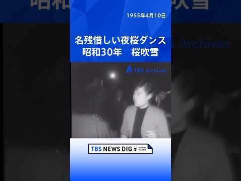名残惜しい夜桜ダンス　昭和30年 桜吹雪｜TBS NEWS DIG shorts サムネイル
