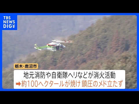 関東各地で山火事相次ぐ　自衛隊ヘリなどが消火活動　栃木・鹿沼市　茨城・常陸太田市　ともに未だ延焼続く　神奈川・小田原市… サムネイル