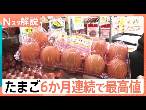 たまご 6か月連続で最高値を更新、スーパー担当者「上がってくる要素しかない、今が一番最安値」【Nスタ解説】｜TBS N… サムネイル
