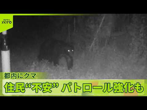 【驚きと不安の声】体長1メートル超…東京・八王子にクマ出没  そばには小学校も… サムネイル