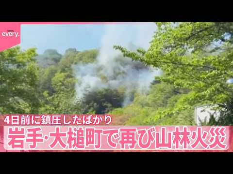 【山林火災再び】「安心したところで」 4日前に「鎮圧」したばかり…住民から不安の声  岩手・大槌町 サムネイル