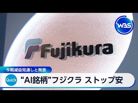 “AI銘柄”フジクラ ストップ安 今期減益見通しと発表【WBS】 サムネイル