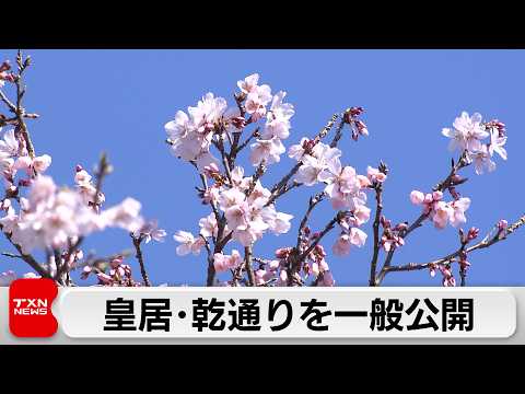 皇居・乾通りの春の一般公開が始まる