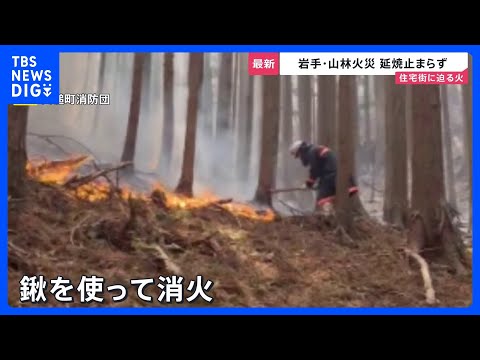 岩手・大槌町の山林火災　早朝から消火活動も“鎮火のめど”立たず…民家1棟を含む7棟の建物に被害 「丸焼け何もない」住民… サムネイル