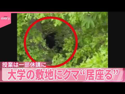 【クマ】大学の敷地に“居座る”  授業は一部休講に サムネイル