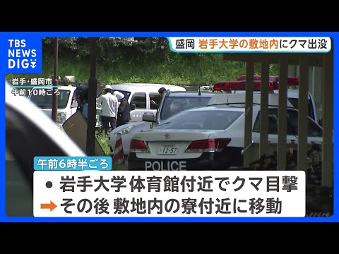 岩手大学でクマ出没　敷地内で目撃→学生寮付近に移動か　寮生に外出自粛要請・一部の授業を休講｜TBS NEWS DIG サムネイル