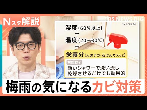 九州北部や近畿が梅雨入り、関東では深刻な水不足も…ジメジメ期に備える「カビ対策3つの条件」とは【Nスタ解説】｜TBS…