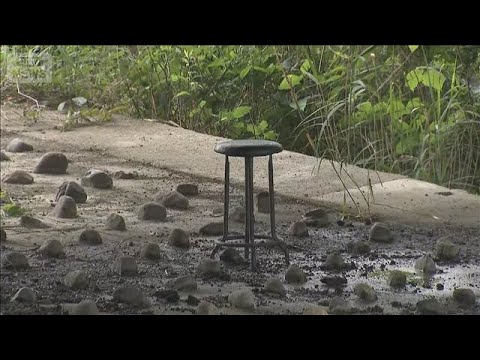 川で発見された遺体は指名手配の男と断定　座っていた橋の下から10キロ先　母娘殺害【もっと知りたい！】【グッド！モーニン… サムネイル
