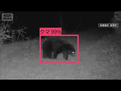 “人間由来の食べ物”学習し執着か…GW前に“春のクマ”出没相次ぐ【報道ステーション】(2026年4月22日) サムネイル