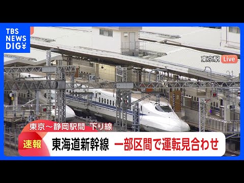 【速報】東海道新幹線 運転見合わせ　静岡駅と新富士駅の間で線路内に人が立ち入った影響　運転再開の見込み立たず｜TBS… サムネイル
