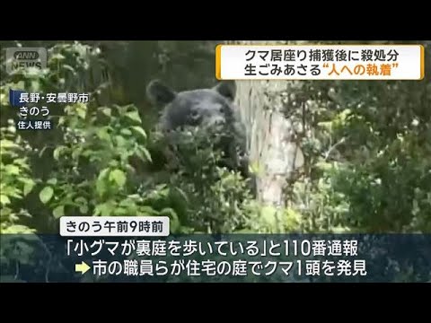 クマが住宅の庭に居座り　“人への執着”確認　長野・安曇野市(2026年5月4日) サムネイル