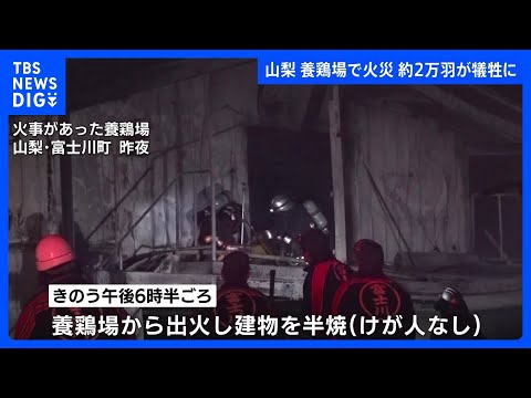 養鶏場で火災　2万1000羽のほとんどが死んだか　「ガスボンベが燃え建物に延焼」と通報　山梨・富士川町｜TBS NEW… サムネイル