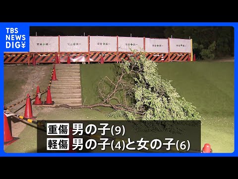 長さ約4.5メートルの枝が落下　子ども3人が重軽傷　「イヌエンジュ」の木、強風で折れたか　京都・宇治市の運動公園｜TB…