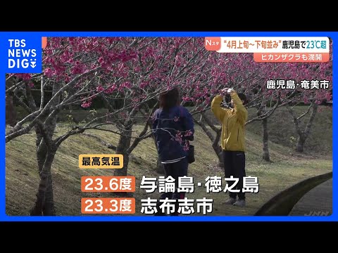 「コートがいらない」鹿児島は4月上旬の暖かさ　最高気温が23℃超え｜TBS NEWS DIG サムネイル