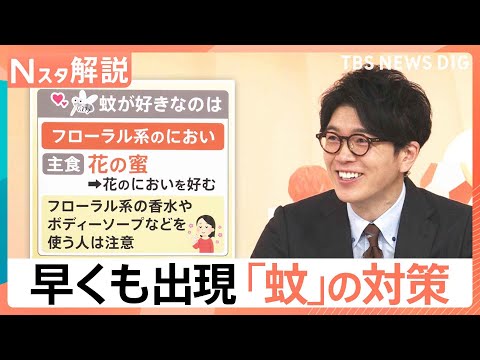 「ぷ～ん」まだ5月なのに…かゆい！早くも出現「蚊」に注意、刺されないために【Nスタ解説】｜TBS NEWS DIG サムネイル