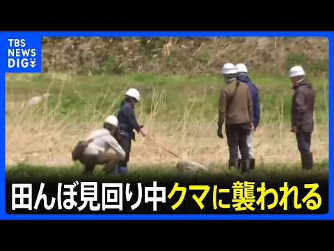 クマに田んぼ見回り中に襲われた男性（48） ドクターヘリで搬送 体長1メートルほどの成獣か 顔や右腕にけが｜TBS N… サムネイル